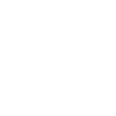 VoiVeljet